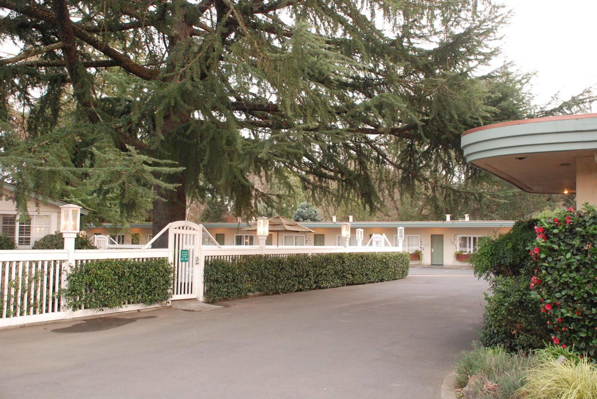 El Bonita Motel เซนต์เฮเลนา ภายนอก รูปภาพ